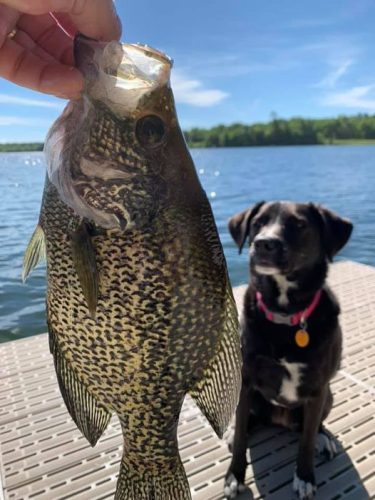 Thomas Satre - Webb Lake