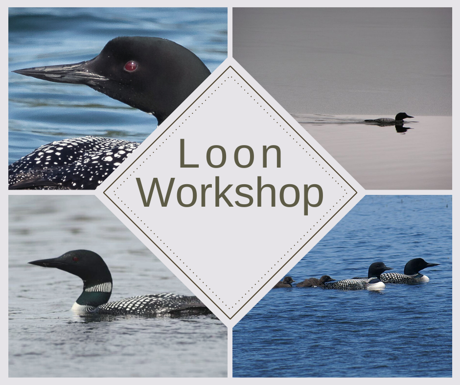 Loon Workshop_Home Page
