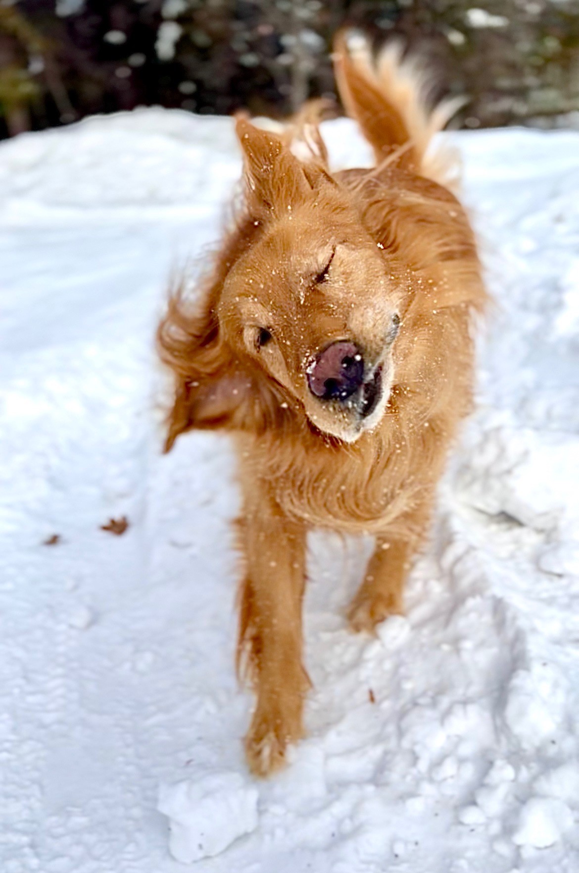 Ben in Winter_Sarah Knight Photographer