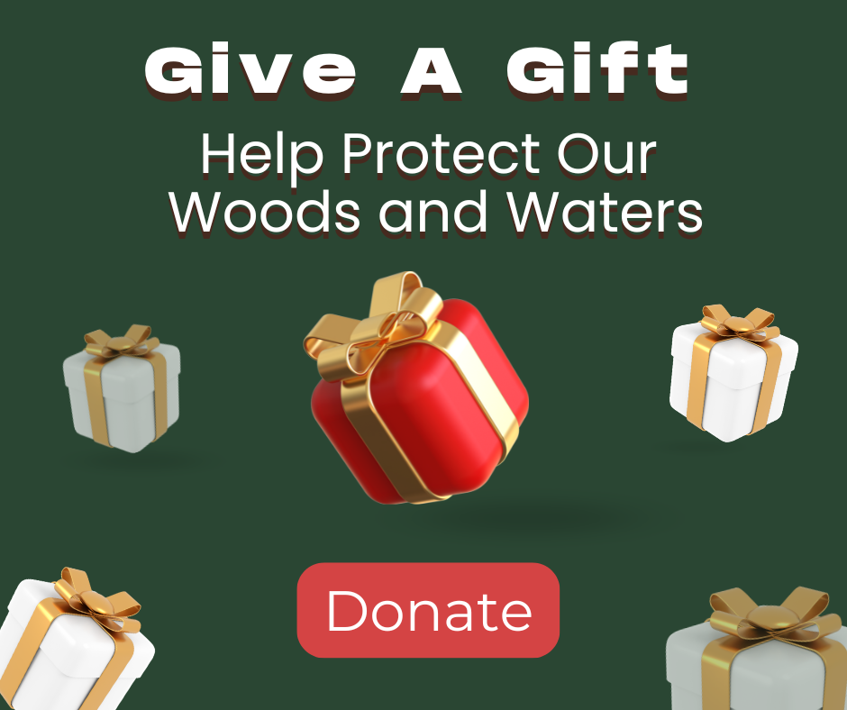 Gift _Donate Page