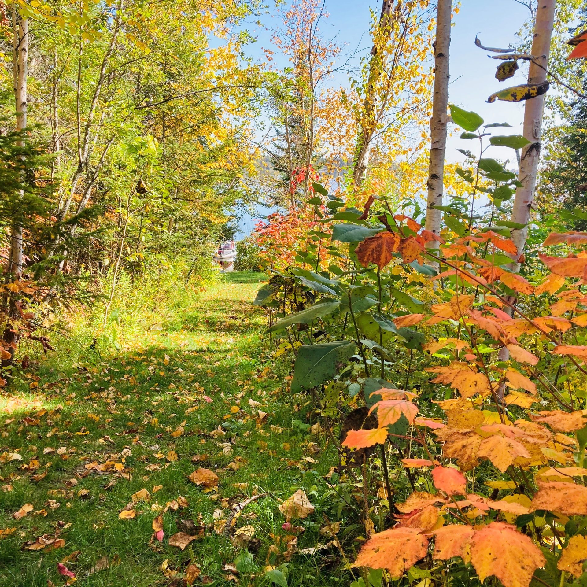 Fall photo_Lake Benedict_Annie Photographer