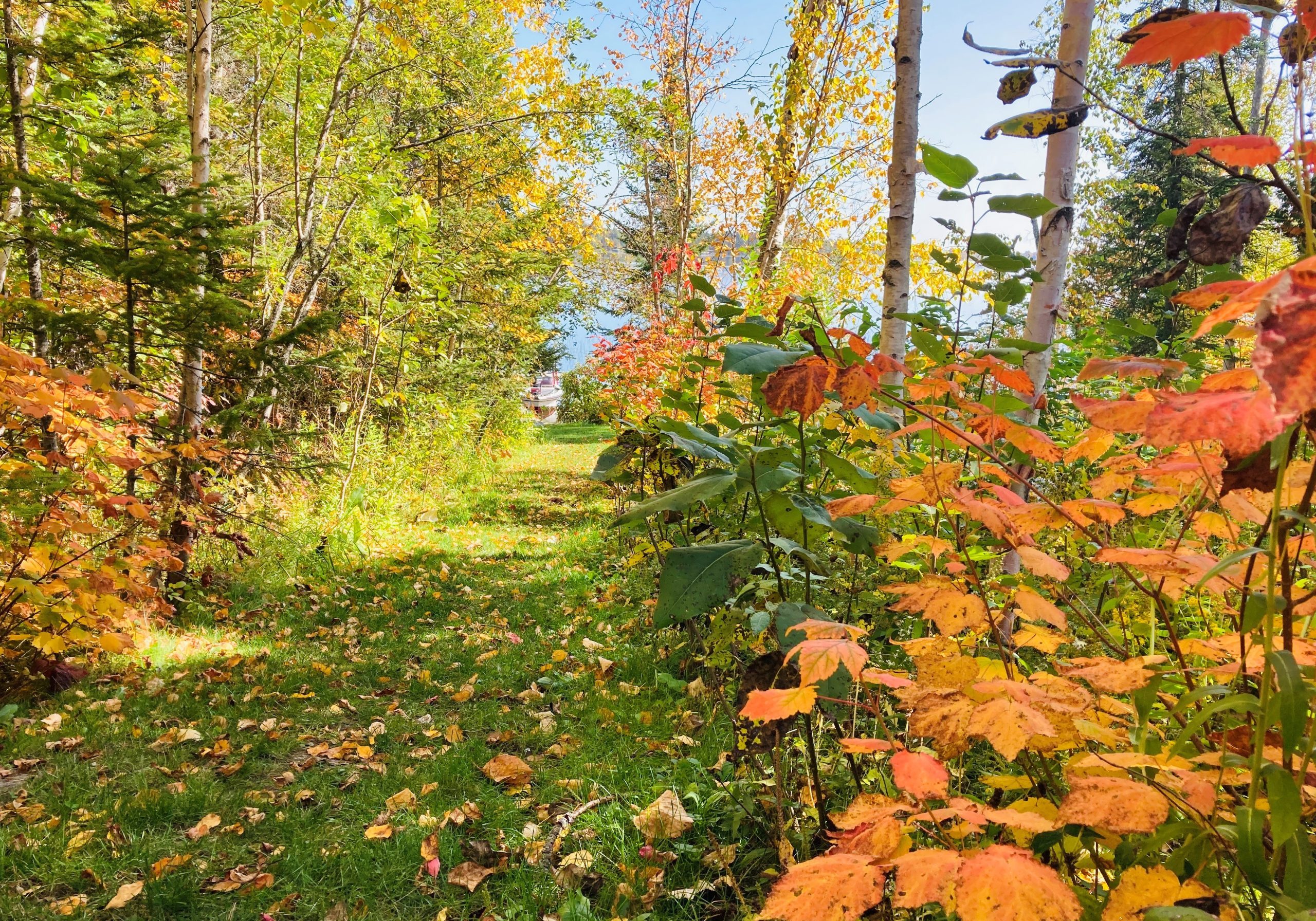 Fall photo_Lake Benedict_Annie Photographer