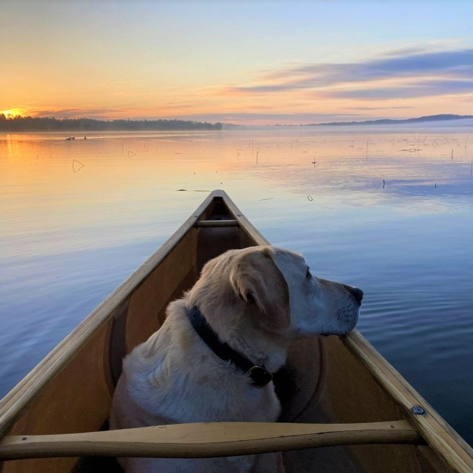 Sunrise Canoe_Axel Dog_Annie Photographer