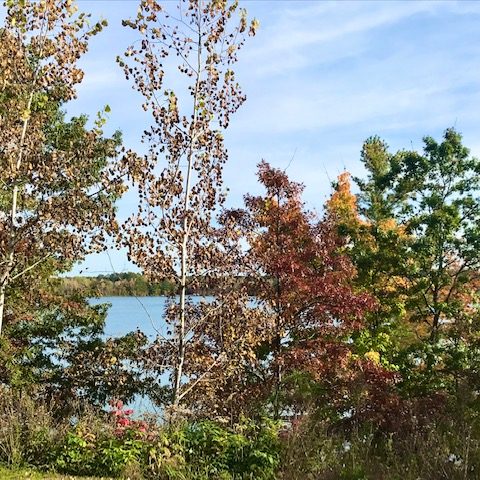 fall colors by the water