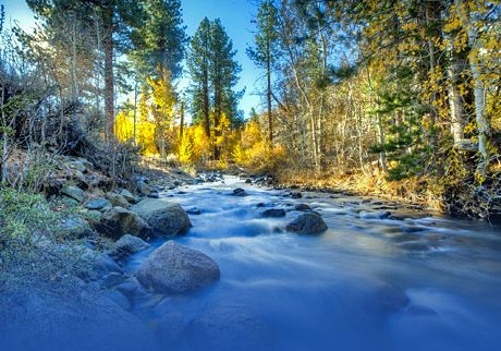 56% of streams and rivers in Minnesota are considered impaired